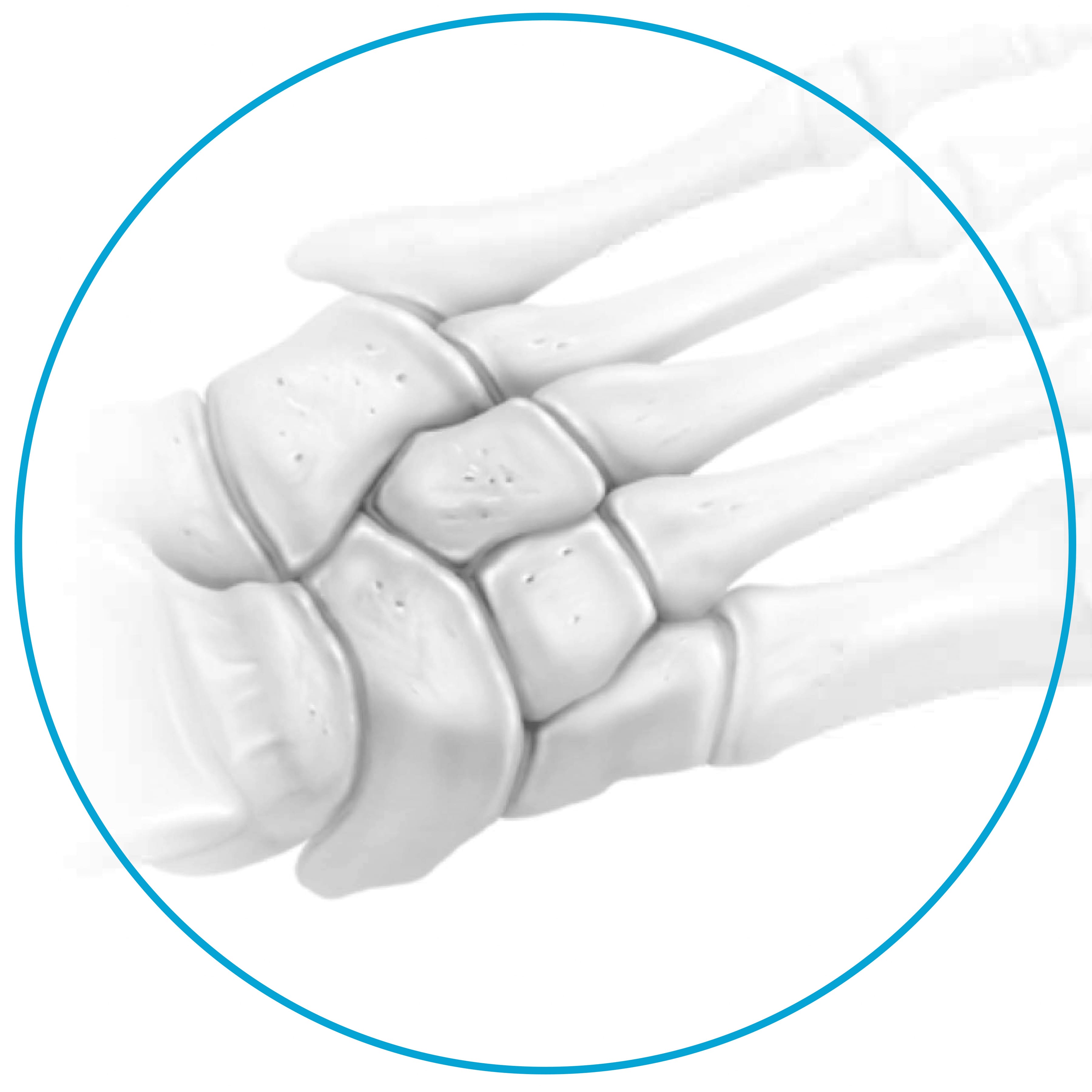 Steve Hamilton M.D. Beacon Orthopaedics & Sports Medicine