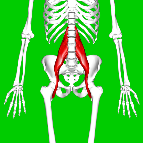 Issues Around the Hip: From Tendonitis to Bursitis ...