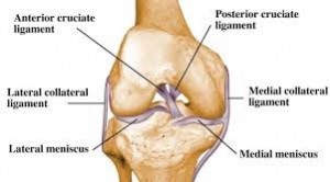 knee arthroscopy illustration