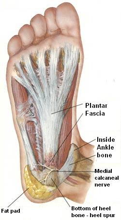 Plantar fasciitis needle treatment clearance