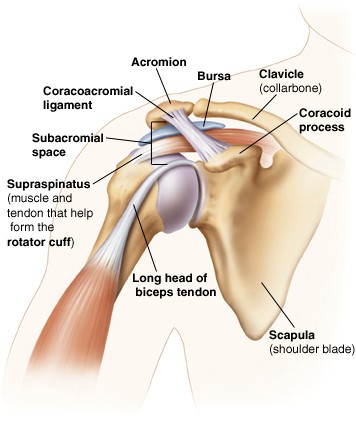 Intra articular steroid injection shoulder